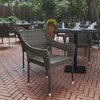 Flash Furniture Gray PE Rattan Wicker Patio Dining Chair TT-TT02-GY-GG